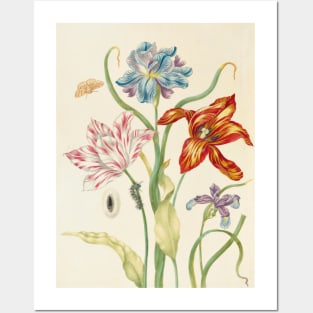 Two Tulips and Two Irises by Johanna Helena Herolt Posters and Art